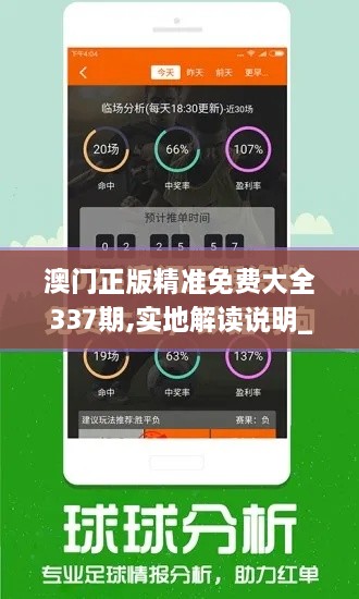 澳门正版精准免费大全337期,实地解读说明_交互版95.734-6