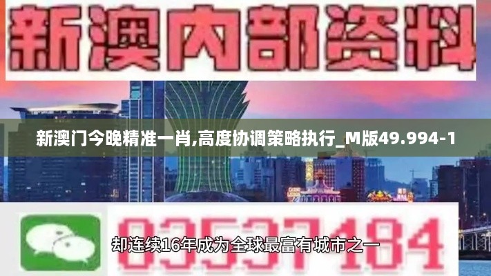 新澳门今晚精准一肖,高度协调策略执行_M版49.994-1