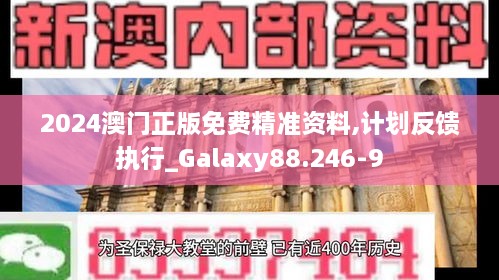 2024澳门正版免费精准资料,计划反馈执行_Galaxy88.246-9