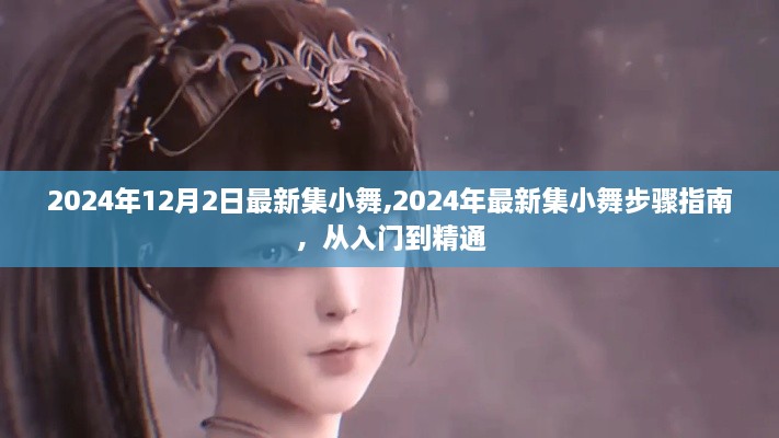 2024年最新集小舞指南，从入门到精通的步骤详解