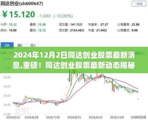 同达创业股票最新动态揭秘，市场走势分析与预测（2024年12月2日）