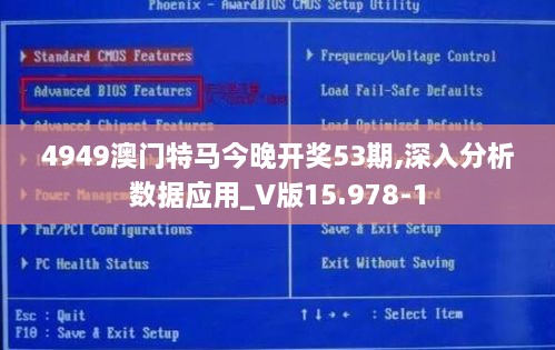 4949澳门特马今晚开奖53期,深入分析数据应用_V版15.978-1