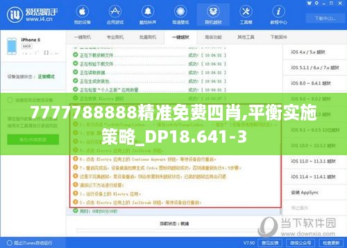 7777788888精准免费四肖,平衡实施策略_DP18.641-3