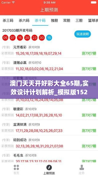 澳门天天开好彩大全65期,实效设计计划解析_模拟版152.726-8