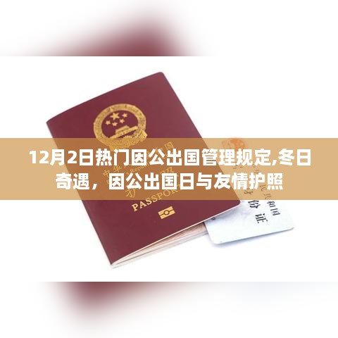 冬日奇遇，因公出国管理规定与友情护照的探寻之路