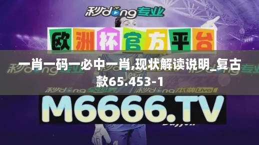 一肖一码一必中一肖,现状解读说明_复古款65.453-1