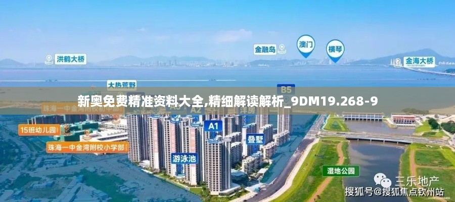 新奥免费精准资料大全,精细解读解析_9DM19.268-9