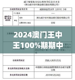 2024澳门王中王100%期期中,合理决策评审_iPad71.560-1