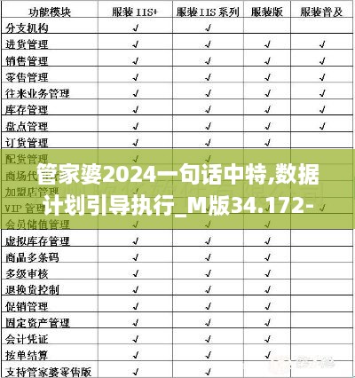 管家婆2024一句话中特,数据计划引导执行_M版34.172-4