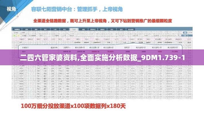 二四六管家婆资料,全面实施分析数据_9DM1.739-1