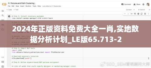 2024年正版资料免费大全一肖,实地数据分析计划_LE版65.713-2