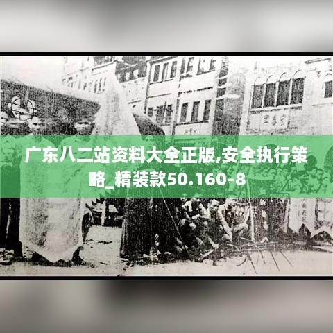 广东八二站资料大全正版,安全执行策略_精装款50.160-8