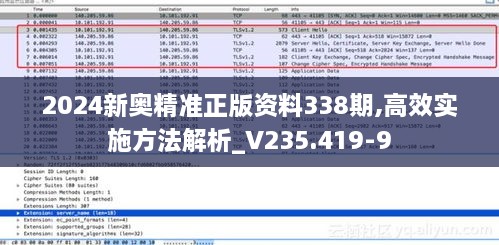 2024新奥精准正版资料338期,高效实施方法解析_V235.419-9