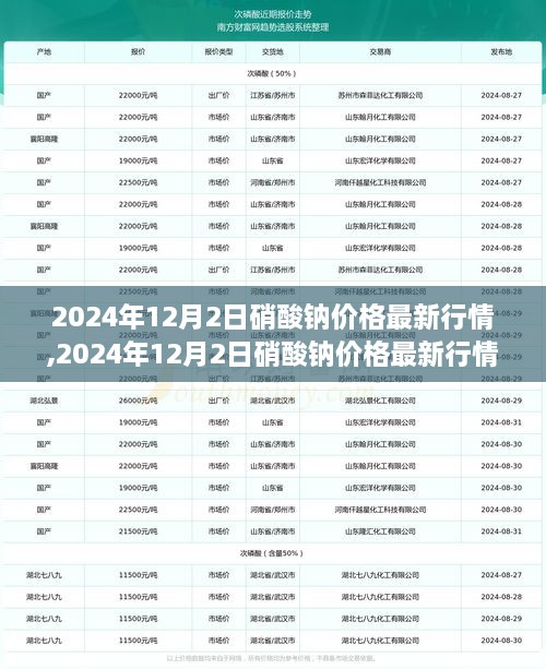 2024年12月2日硝酸钠价格最新行情分析与趋势预测