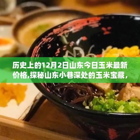 山东玉米宝藏，历史与今日价格探秘之旅，最新玉米行情一览表