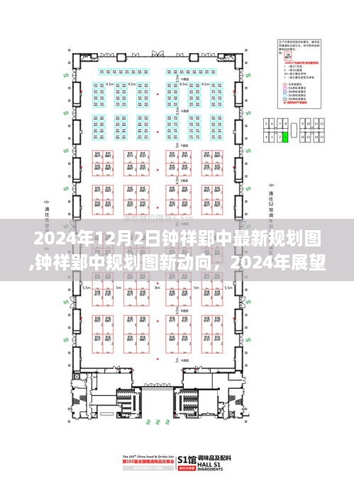 钟祥郢中规划图新动向，展望与观点分析