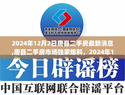 独家爆料，唐县二手房市场最新动态一网打尽（2024年12月）