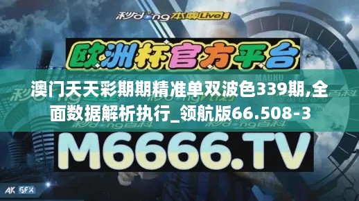 澳门天天彩期期精准单双波色339期,全面数据解析执行_领航版66.508-3