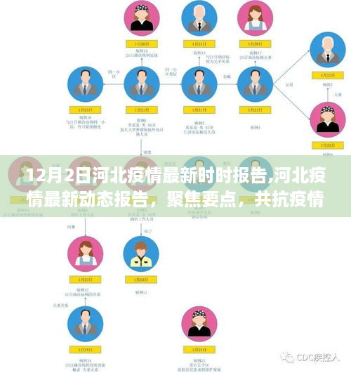 河北疫情最新动态报告，聚焦要点，共同抗击疫情（实时更新）