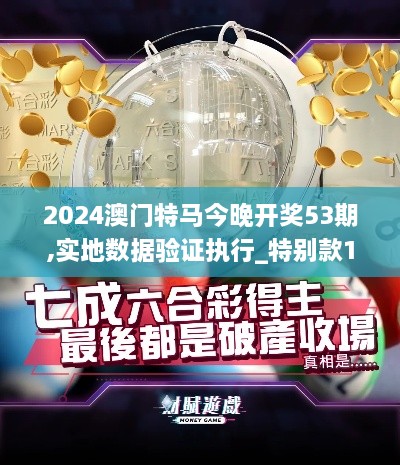 2024澳门特马今晚开奖53期,实地数据验证执行_特别款1.703-7