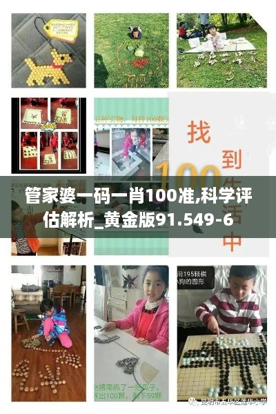 管家婆一码一肖100准,科学评估解析_黄金版91.549-6