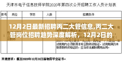 12月最新丙二大管招聘深度解析，机遇与挑战并存