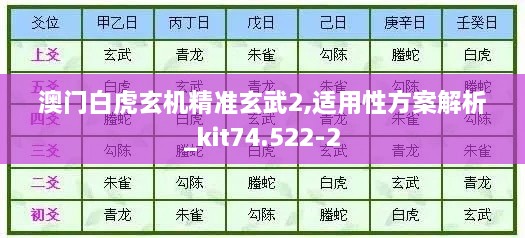 澳门白虎玄机精准玄武2,适用性方案解析_kit74.522-2