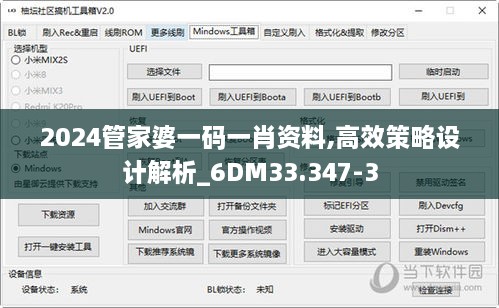 2024管家婆一码一肖资料,高效策略设计解析_6DM33.347-3