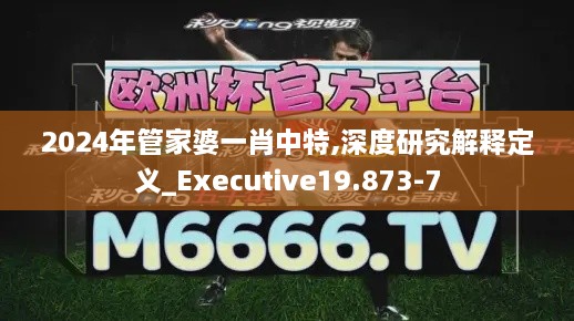 2024年管家婆一肖中特,深度研究解释定义_Executive19.873-7