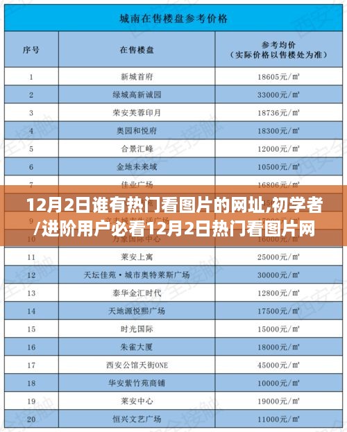 12月热门图片网址大全及访问指南，初学者到进阶用户必看