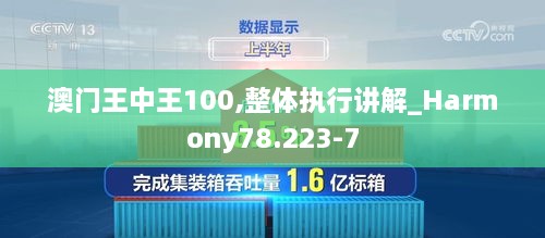 澳门王中王100,整体执行讲解_Harmony78.223-7