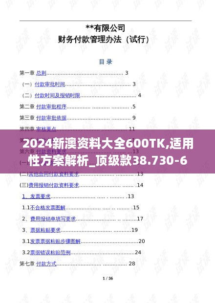 2024新澳资料大全600TK,适用性方案解析_顶级款38.730-6