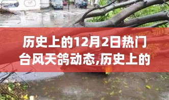 历史上的台风天鸽，逆风翱翔与成就自信之光的动态回顾