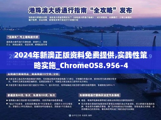 2024年新澳正版资料免费提供,实践性策略实施_ChromeOS8.956-4