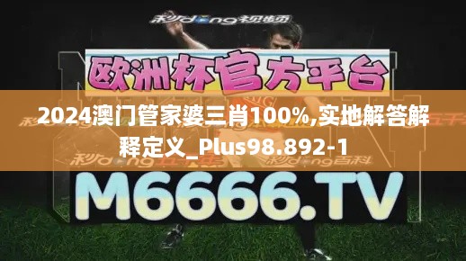 2024澳门管家婆三肖100%,实地解答解释定义_Plus98.892-1