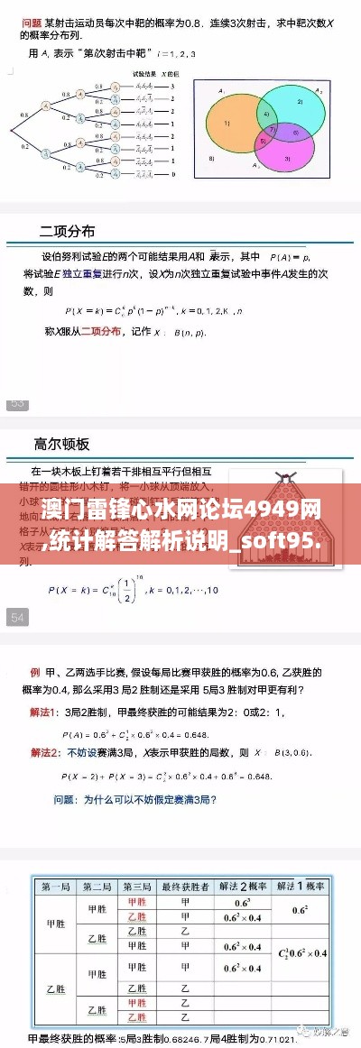 澳门雷锋心水网论坛4949网,统计解答解析说明_soft95.699-9