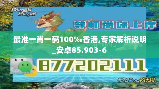 最准一肖一码100‰香港,专家解析说明_安卓85.903-6