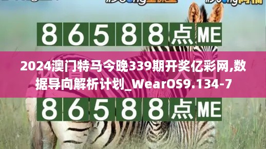 2024澳门特马今晚339期开奖亿彩网,数据导向解析计划_WearOS9.134-7