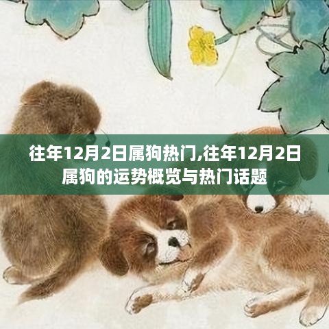 往年12月2日属狗的运势概览与热点话题解析