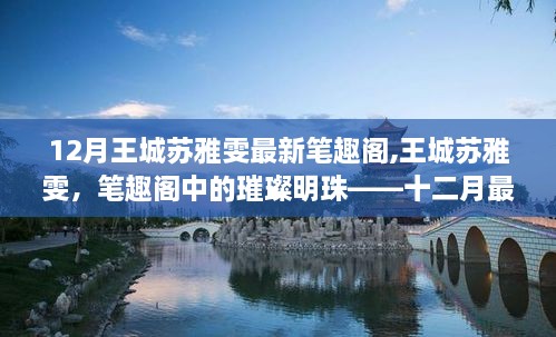 王城苏雅雯十二月最新笔趣阁内容深度解析，璀璨明珠的涉黄问题探讨