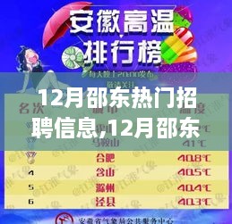 12月邵东热门招聘信息全解析，职场人的求职福音