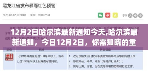 哈尔滨最新资讯，今日12月2日需知晓的重要通知与资讯汇总