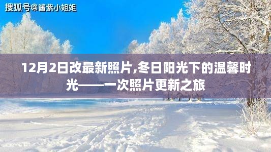 冬日阳光下的温馨时光，最新照片更新之旅