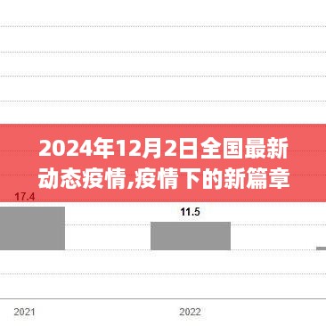 疫情下的新篇章，学习变化，拥抱希望，共筑未来之门（2024年12月全国最新动态疫情）