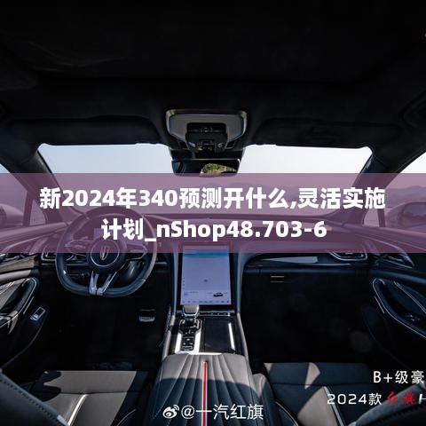 新2024年340预测开什么,灵活实施计划_nShop48.703-6