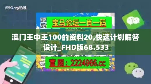 澳门王中王100的资料20,快速计划解答设计_FHD版68.533