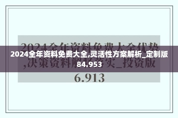 2024全年资料免费大全,灵活性方案解析_定制版84.953