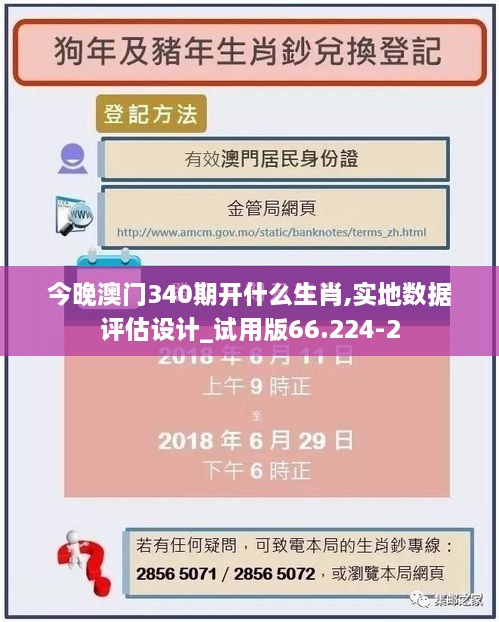 今晚澳门340期开什么生肖,实地数据评估设计_试用版66.224-2