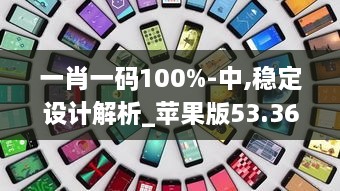 一肖一码100%-中,稳定设计解析_苹果版53.367