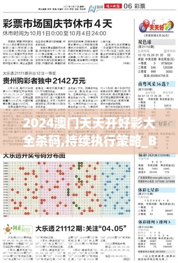 2024澳门天天开好彩大全杀码,持续执行策略_BT48.491